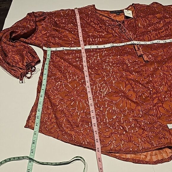 Lane Bryant nwt shimmering sheer pullover top size 14/16 - Picture 10 of 12
